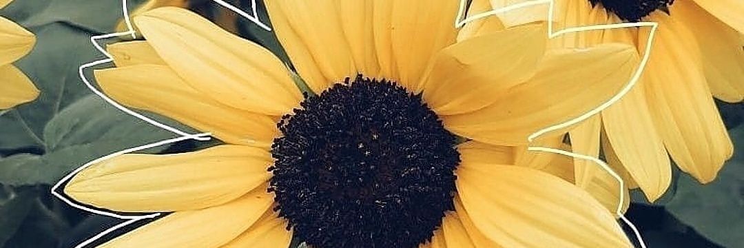 Ceukokom:(♔ banner