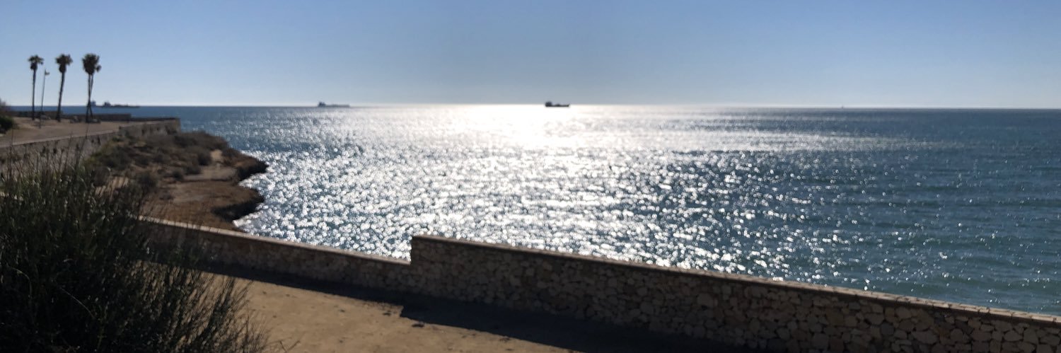 lu_mol16's profile banner image