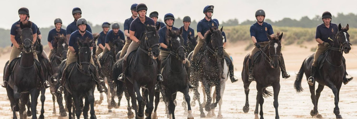 HouseholdCavalry FDN banner