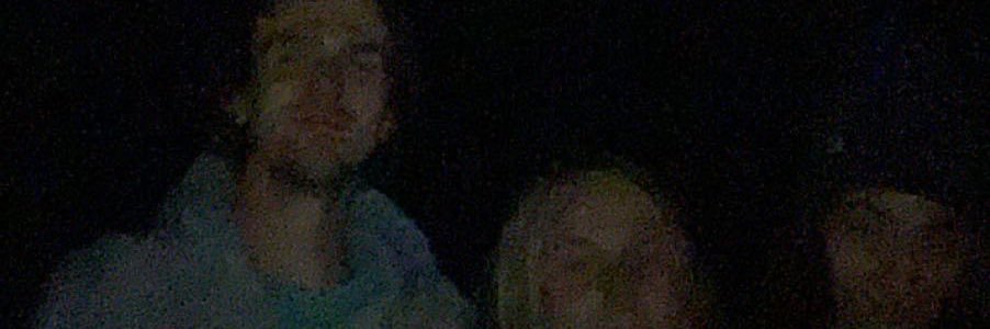 Dominic banner