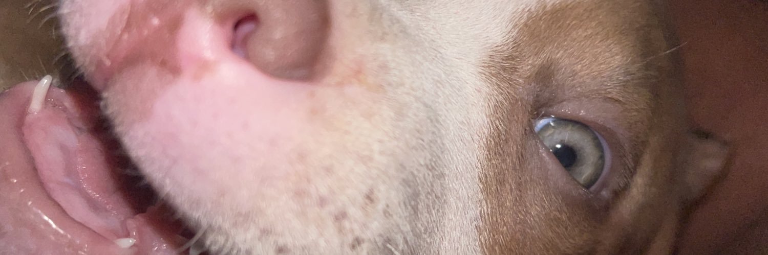 noeboiii's profile banner image