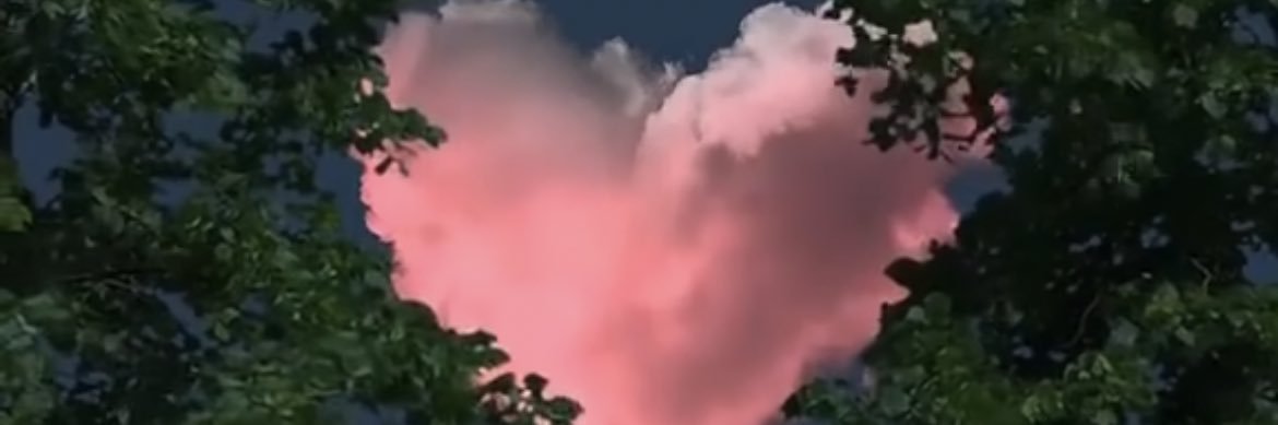 sewalll's profile banner image