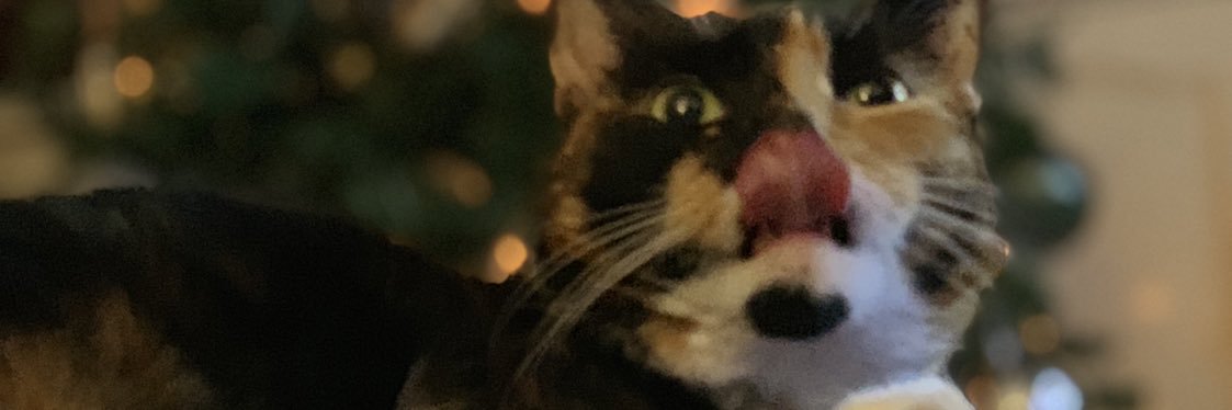 DougInmanMedia's profile banner image