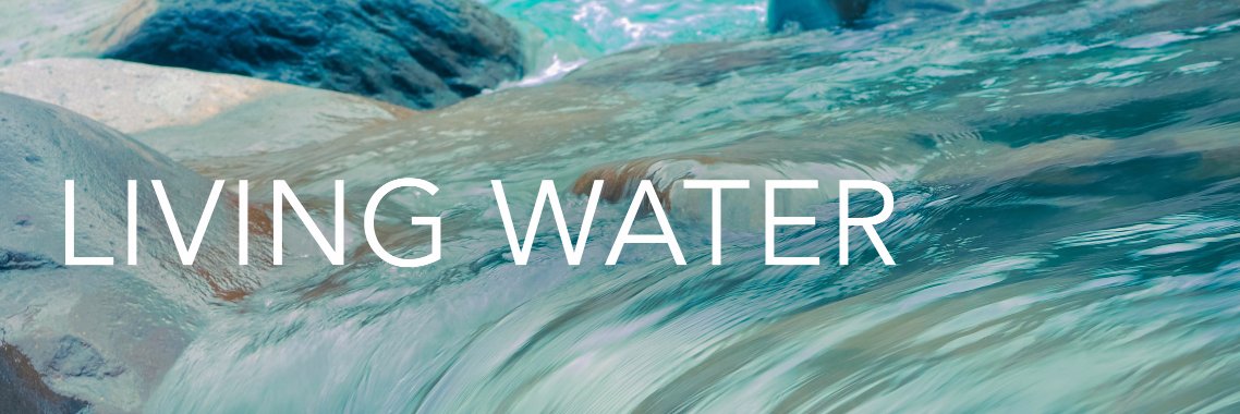 iiFollowJESUS's profile banner image