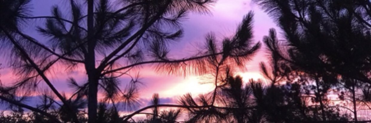 TherealNic7's profile banner image