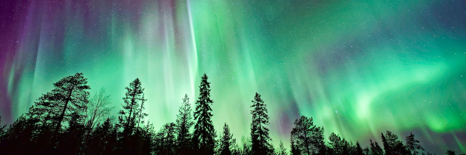 Nam Hoang 🚀 banner