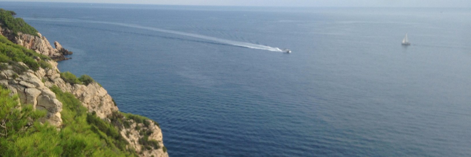 Camille de Marcilly banner