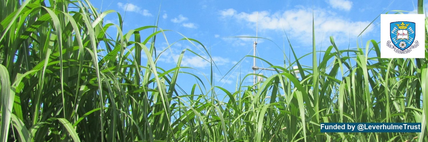 Leverhulme Centre for Climate Change Mitigation's banner
