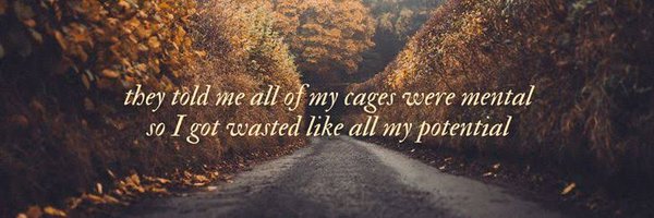 CcNyanchera Profile Banner