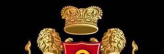 lionwien's profile banner image