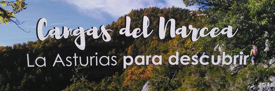 NarceaTurismo's profile banner image