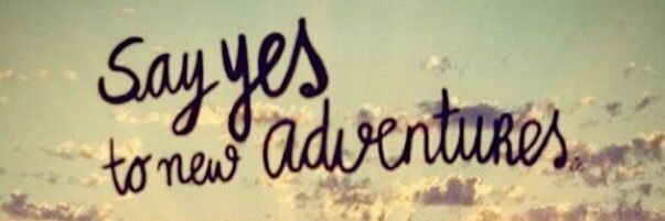 LisaMwills35's profile banner image