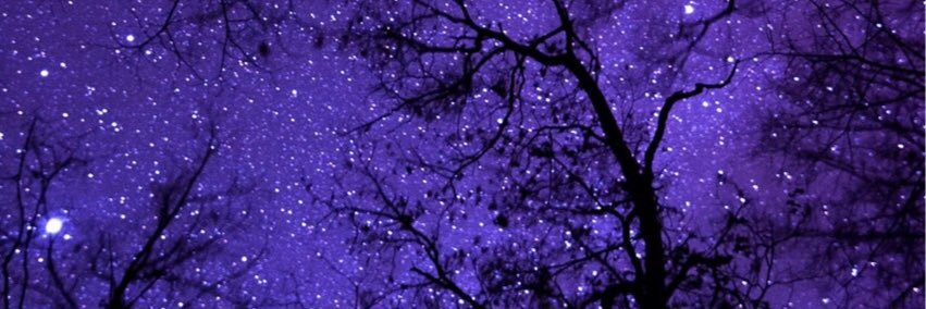 BambiS_78's profile banner image