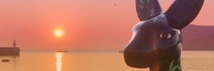 Lee Maddrell banner