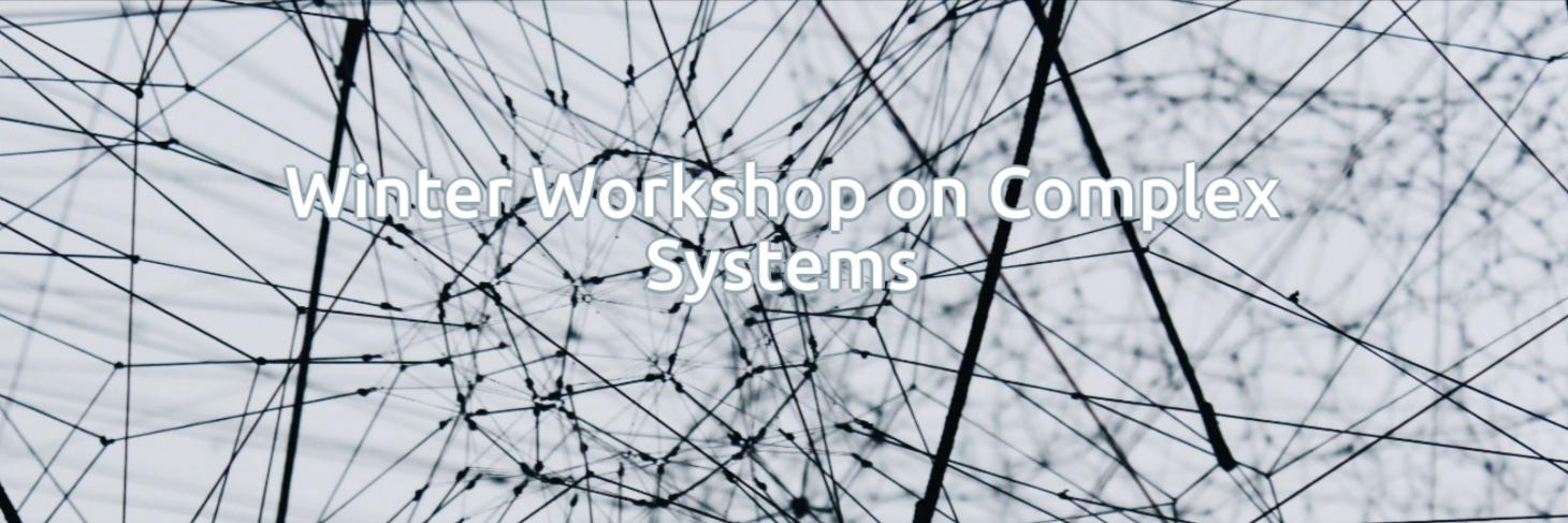 Winter Workshop on Complex Systems's banner