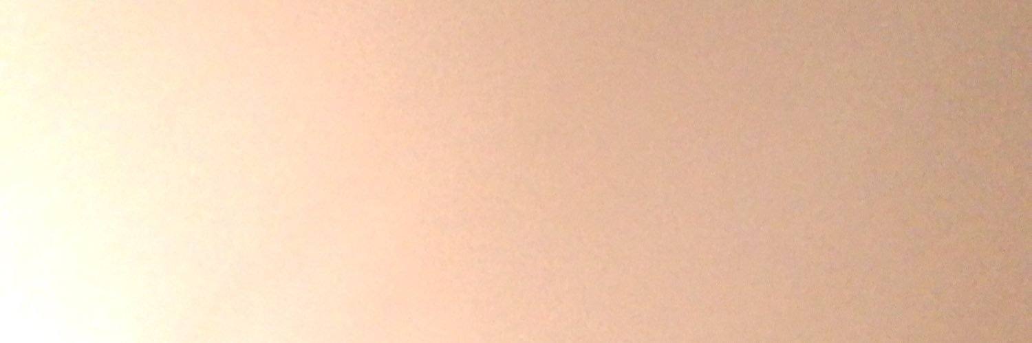 🦈 banner
