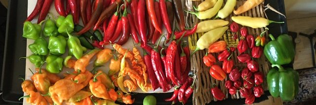 Rockerfella 🌻💙💛🌻 banner