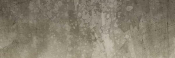 Hyena Profile Banner