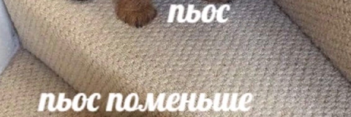 Дистанционное расстройство личности|support Woojin banner