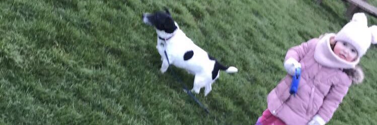 Janine Jamieson banner