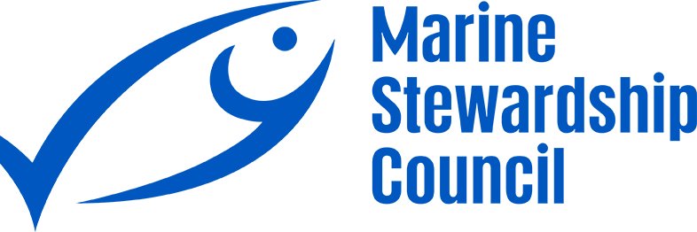 MSC Latinoamérica banner