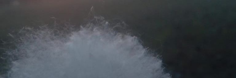 Pikachu_u1's profile banner image
