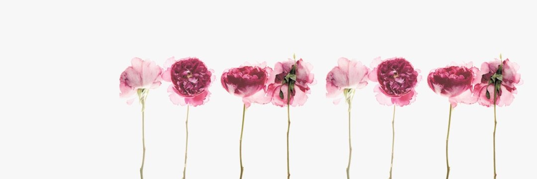 taaj_97's profile banner image