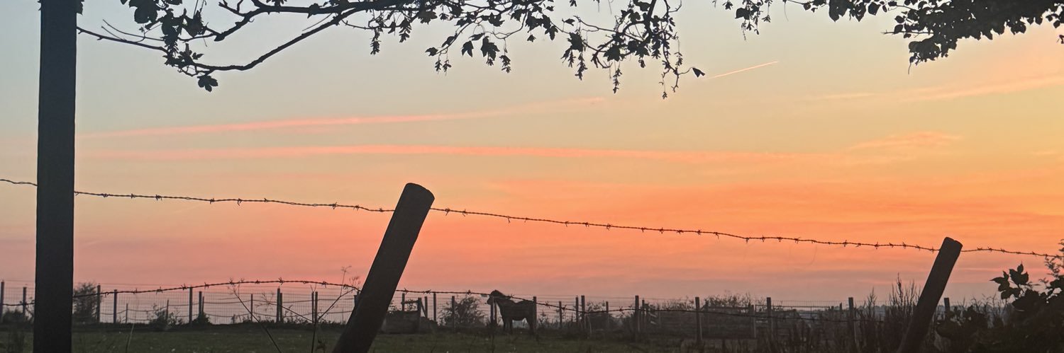 jodiecotman's profile banner image