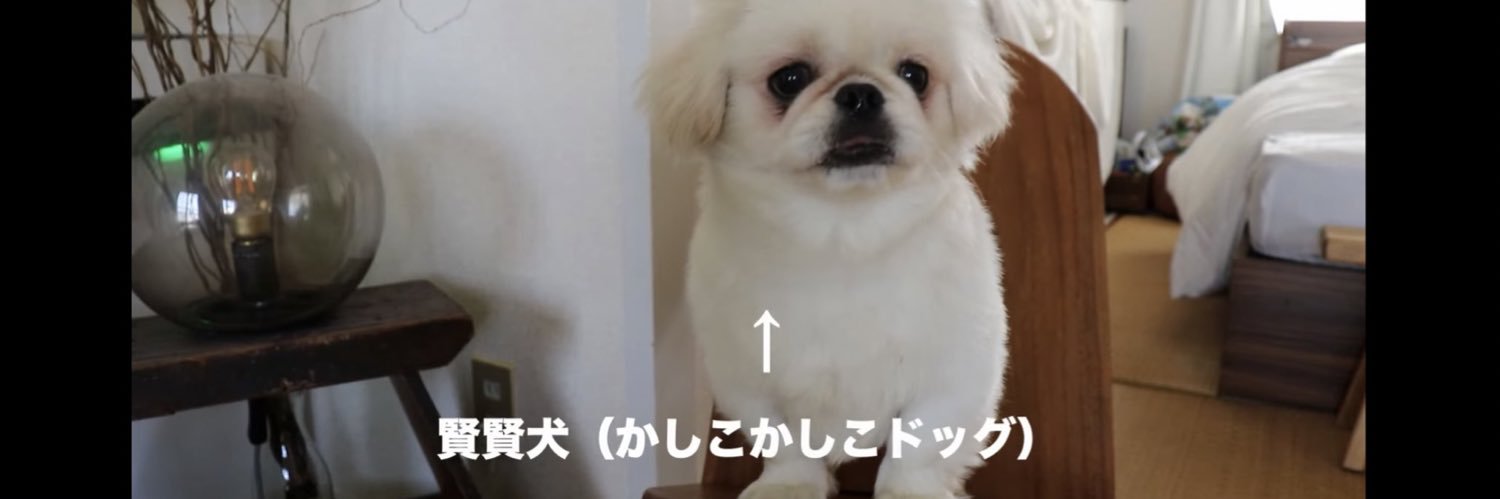 kadofoooooo's profile banner image