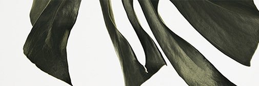 zin_360's profile banner image