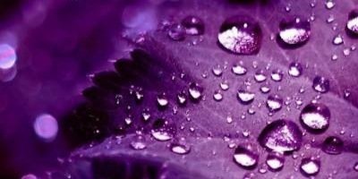 ttuqce's profile banner image