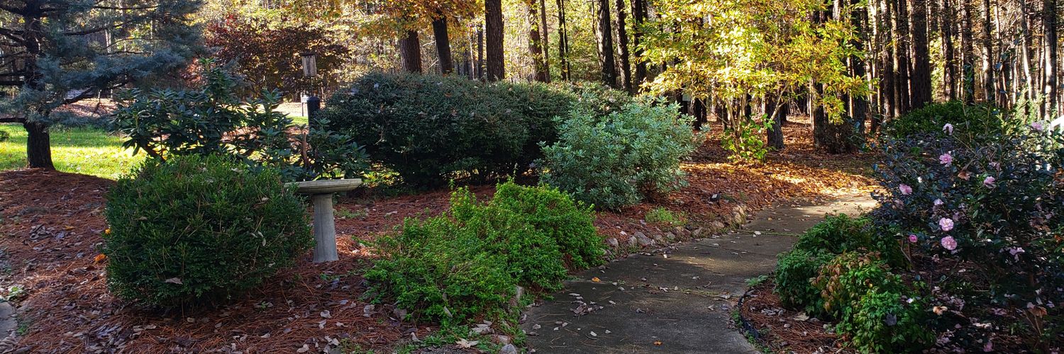 Sir Percy Blakeney banner