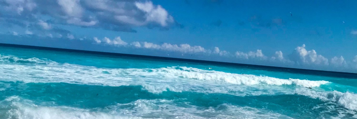 Laurabelinda17's profile banner image