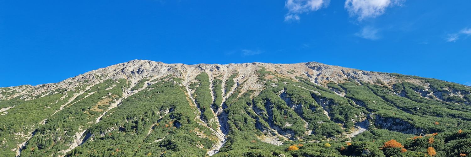bakicdj's profile banner image