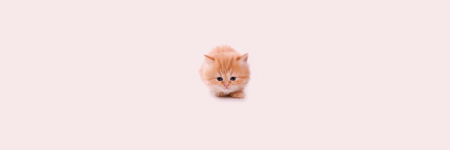 painris's profile banner image