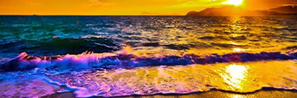 daniellebouds's profile banner image