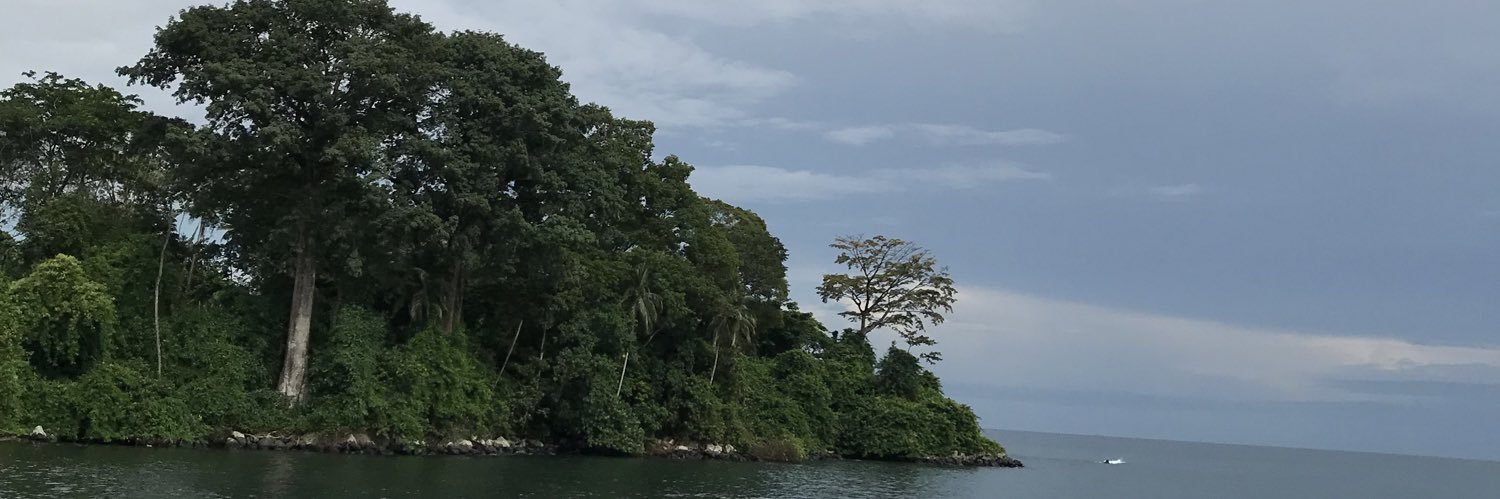 Rafael Mayer Sr. banner