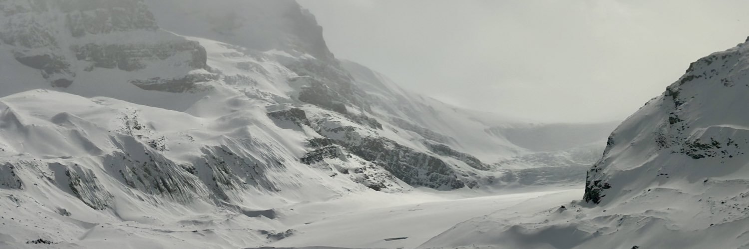 zenvendollo's profile banner image