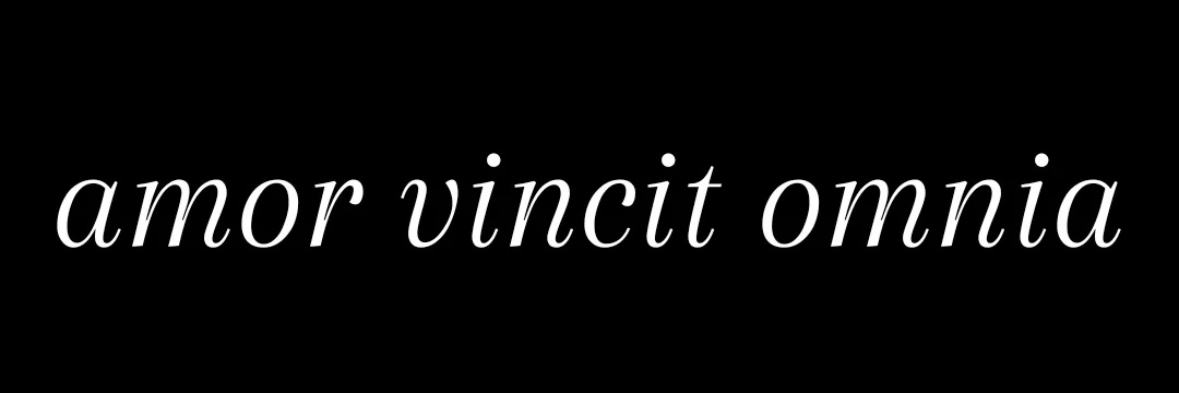 recepdagtekinn's profile banner image