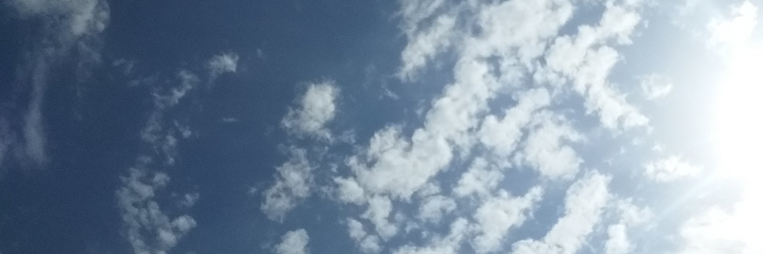 nebahattunc's profile banner image