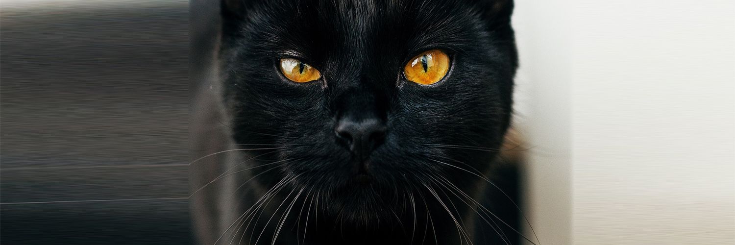 Prince_ter21's profile banner image