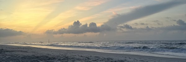 grey_alaura Profile Banner