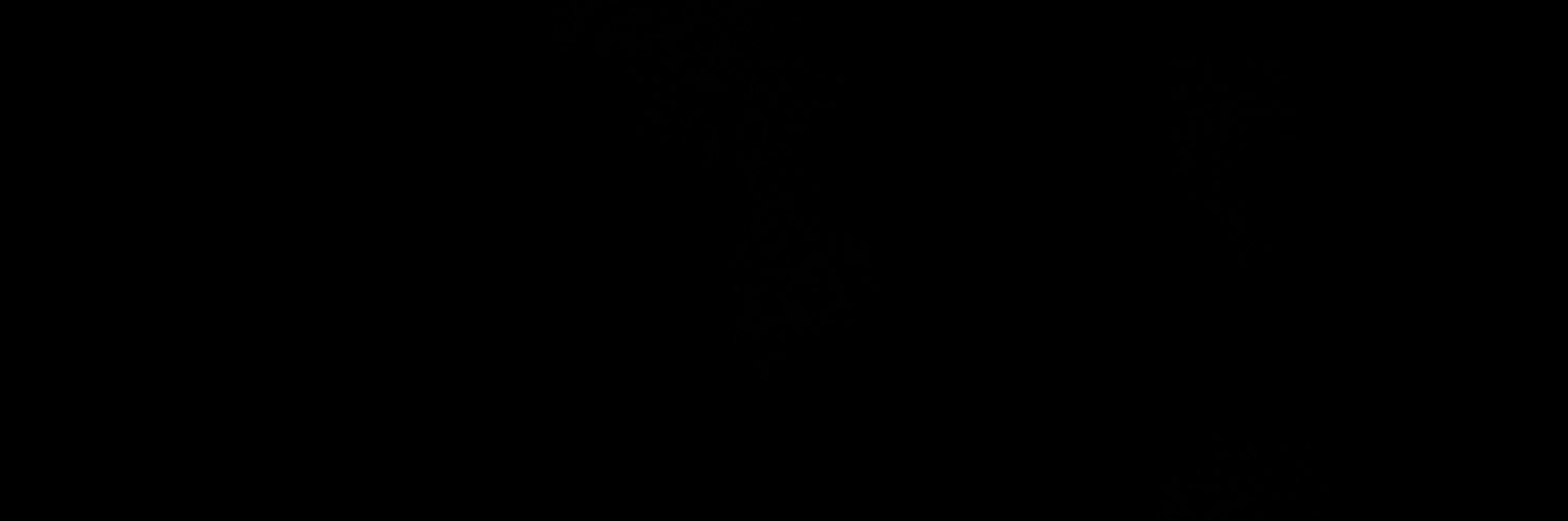 blank banner