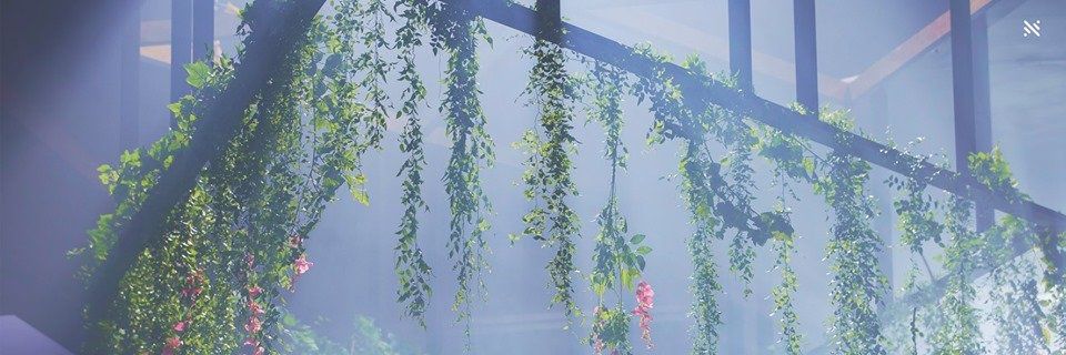 eliwithlove's profile banner image