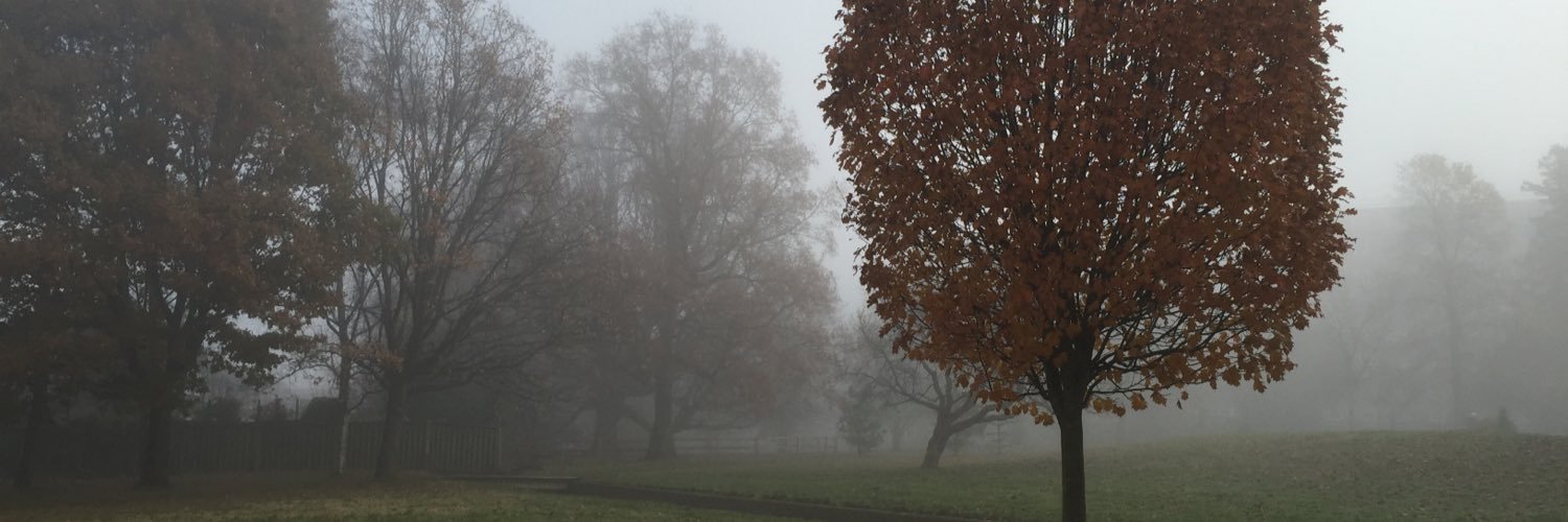 TreesAnna's profile banner image