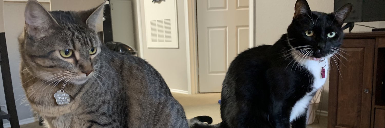 Maddy McCarty banner