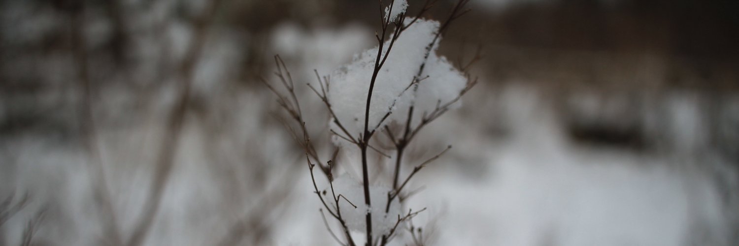 RebeccaEleanorF's profile banner image