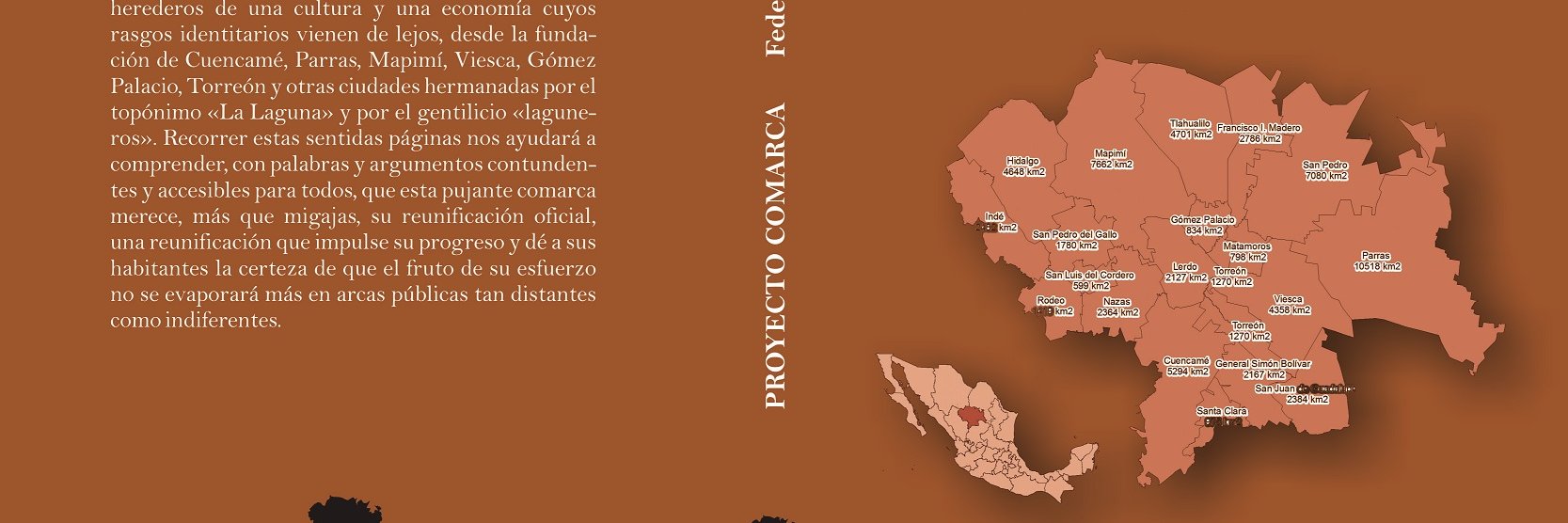 Federico Sáenz Negrete banner