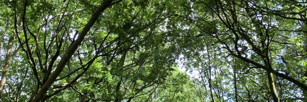 therealhostman Profile Banner