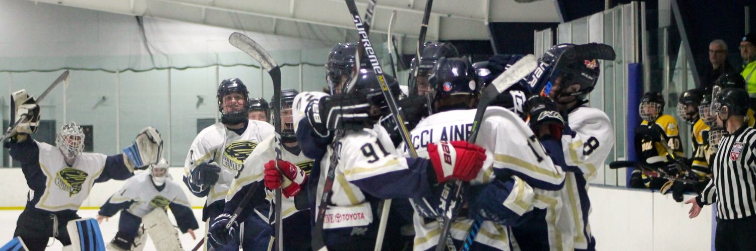 ButlerGTHockey's profile banner image
